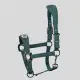Cavallo CavalPawewel Halster