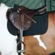 Kentucky Springzadeldek Fishbone