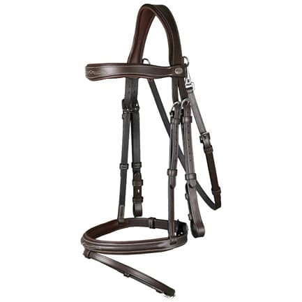 Dy\'on hoofdstel gecombineerde neusriem Working Collection