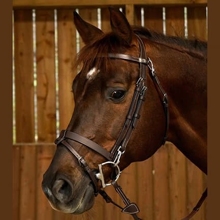 Dyon hoofdstel met clips en gecombineerde neusriem WORKING BY DY\'ON