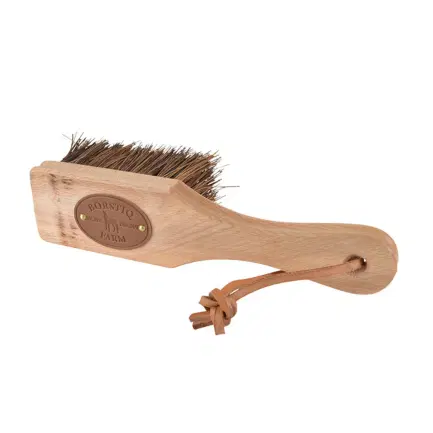 Borstiq Hoefborstel Bassine