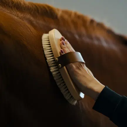 Borstiq Rugborstel met leren riem Large