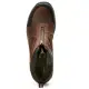 Ariat Telluride H2O waterdichte laars met rits Heren