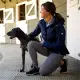 Ariat Coastal Waterdichte Jas Dames