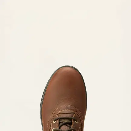 Ariat Wythburn Tall H2O laarzen