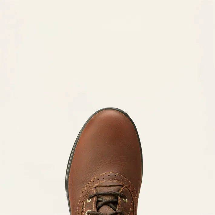 Ariat Wythburn Tall H2O laarzen