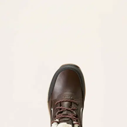 Ariat Telluride Insulated H20 waterdichte laarzen