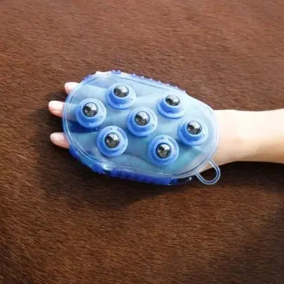 Massageborstel