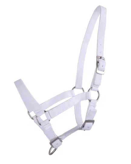 QHP veulenhalster