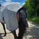 AB Fleecedeken Griffin