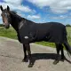 AB Thermalux Coolerdeken