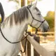 QHP Liberta Leren Touwhalster