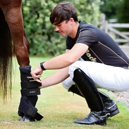 Back on Track Zwarte stalbandage Royal