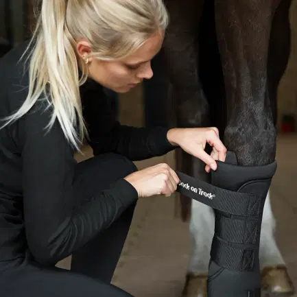 Back on Track Zwarte stalbandage Royal