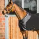 Back on Track Supreme fleecedeken met D-ringen