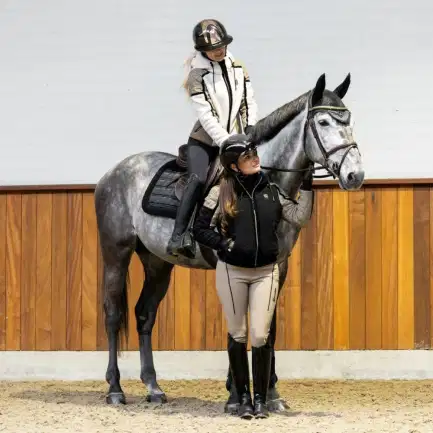 Cavallo CavalLunis Teddy Jas
