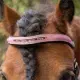 Harry\'s Horse Mini hoofdstel Diva Mauvewood