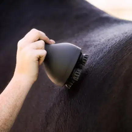 Imperial Riding Grooming & Relaxation brush IRH-Volta