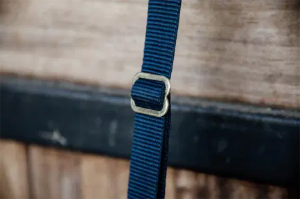 Kentucky Nylon holder hook & ring