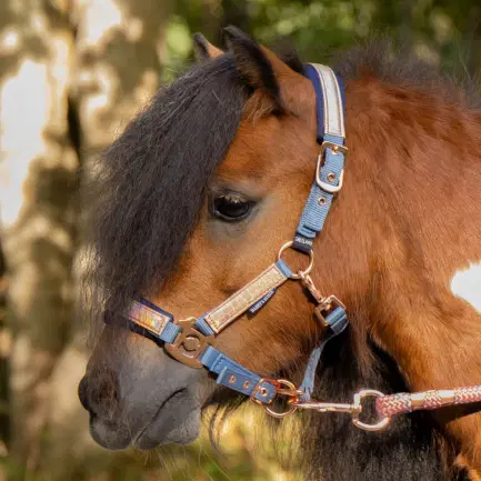 Harry\'s Horse Mini Halster Diva Mauvewood