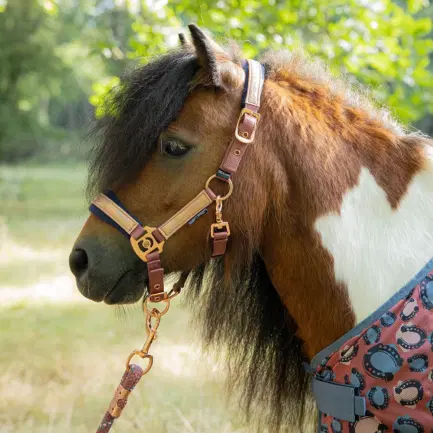 Harry\'s Horse Mini Halster Diva Mauvewood