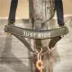 Harry\'s Horse Halsterset Just Ride