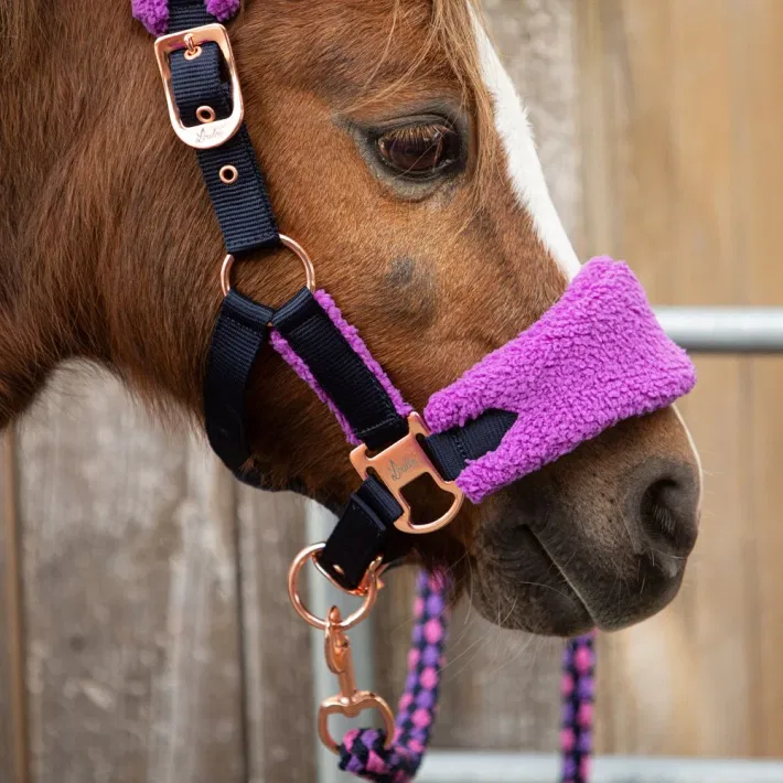 Harry\'s Horse halsterset LouLou Royce