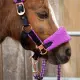 Harry\'s Horse halsterset LouLou Royce