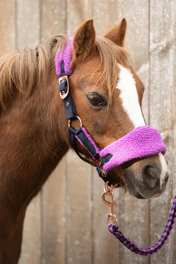 Harry\'s Horse halsterset LouLou Royce