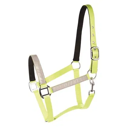Harry\'s Horse Reflex halster