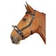Harry\'s Horse Longeer kaptoom