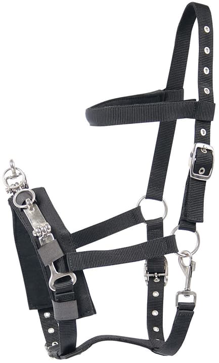 Harry\'s Horse Longeer kaptoom