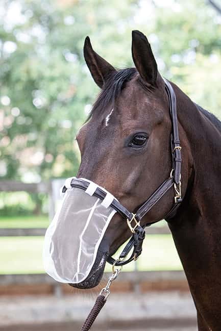 Harry\'s Horse neusnet