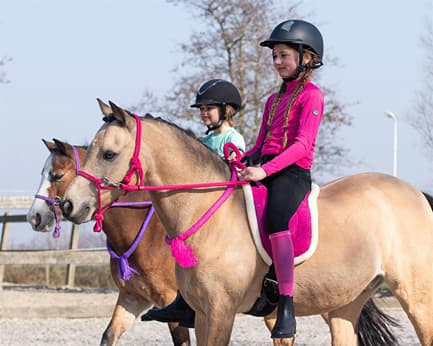 QHP Bareback pad