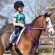 QHP Bareback pad