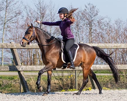 QHP Bareback pad