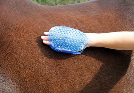 Massageborstel met ballen