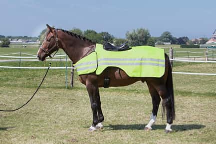 Harry\'s Horse Rijddeken met reflectie