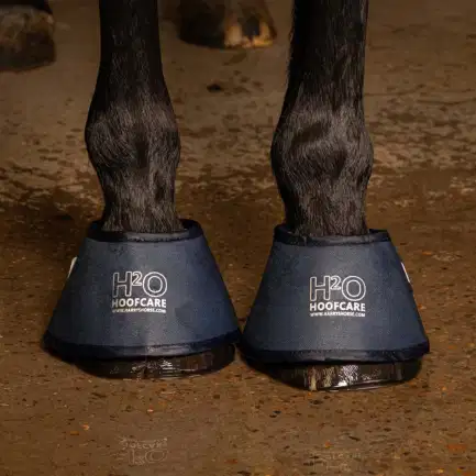 Harry\'s Horse waterhoefklokken