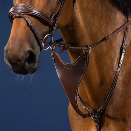 Dyon Bib voor martingaal US Collection