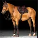 LeMieux Crystal Suede Close Contact springonderlegger