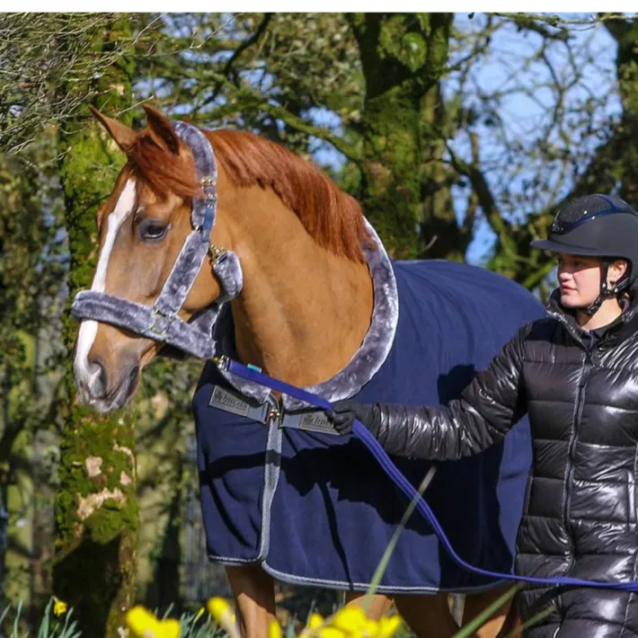 Bucas Show-Line Halster