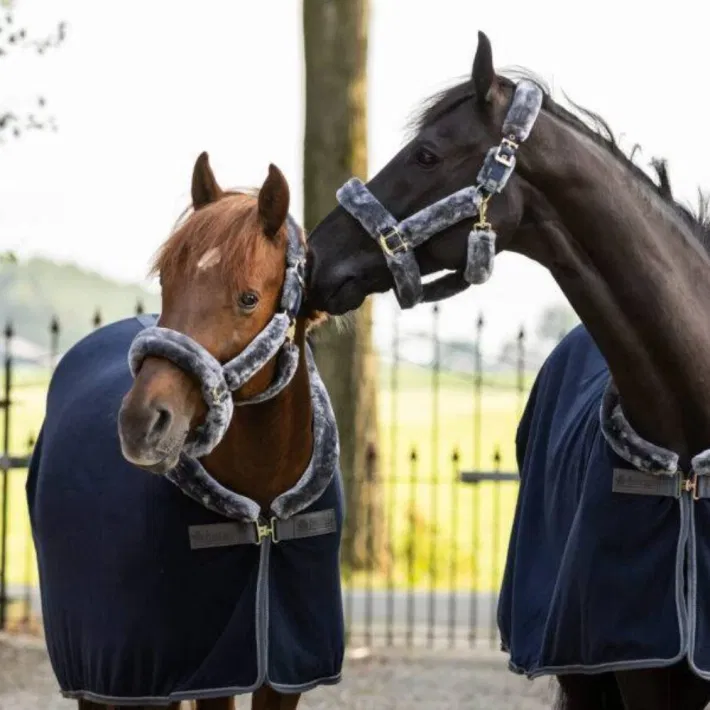 Bucas Show-Line Halster