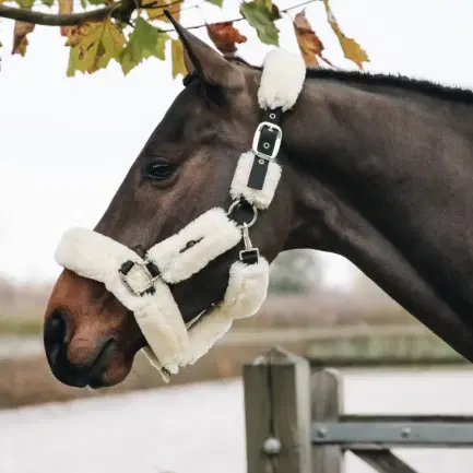 Kentucky halster met lamsvacht