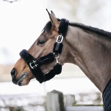 Kentucky halster met lamsvacht