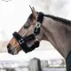 Kentucky halster met lamsvacht
