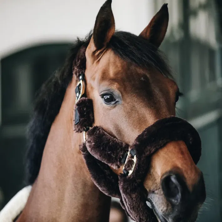Kentucky halster met lamsvacht