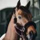 Kentucky halster met lamsvacht