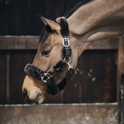 Kentucky halster met lamsvacht