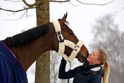 Kentucky halster met lamsvacht